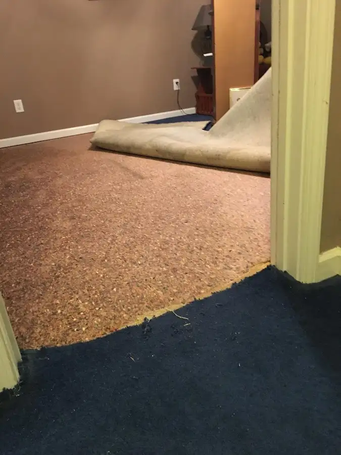 Carpet pad removal revealing water damage during Drying & Dehumidification in Amity
